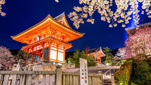Soak In The Charm And Vibrancy Of Japan’s Nightlife